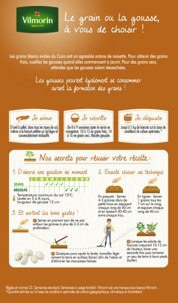 Légumes Secs - Haricot Nain à Ecosser Coco Blanc Précoce  - MEDIA_PACKAGING_VERSO